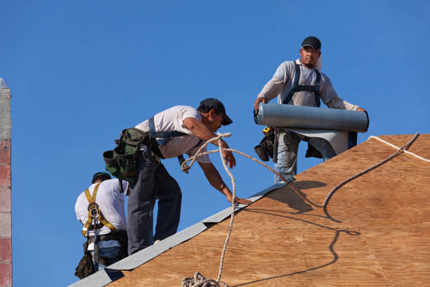 Best Storm Damage Roof Repair  in Eglin Af, FL