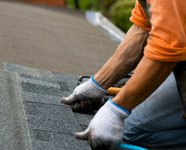 Best Metal Roofing Contractor  in Eglin Af, FL